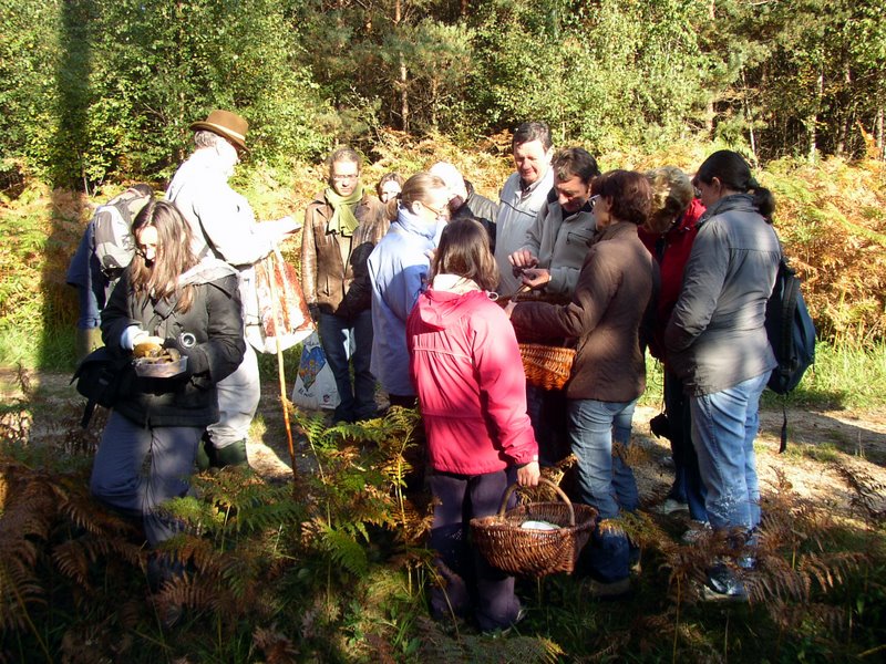 Mares au vinaigre 06